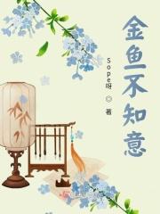金鱼不知意