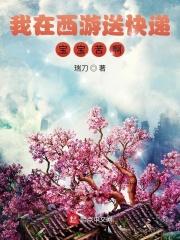 我在西游送快递，三包！