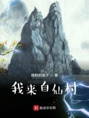 我来自仙村